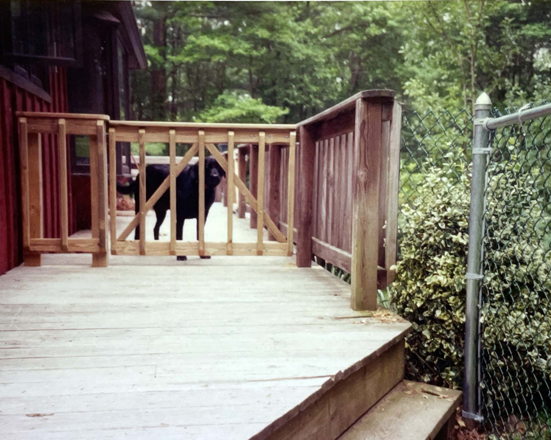 A wood gate for a dog enclosure